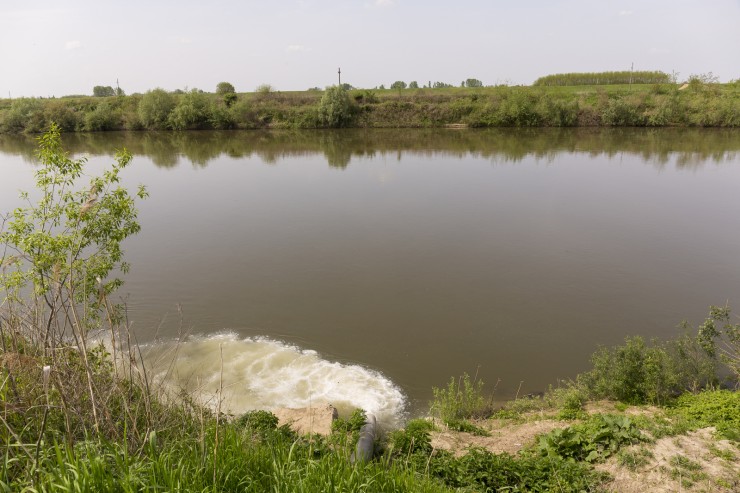 Fehér színű szennyvíz ömlik a Szamosba a vetési húsfeldolgozótól nem messze. Fotó: Móricz Csaba