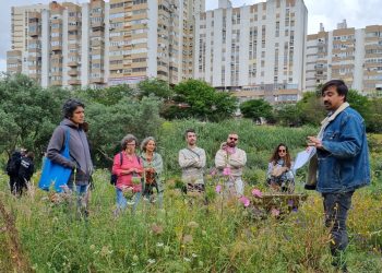 Minierdő Lisszabonban