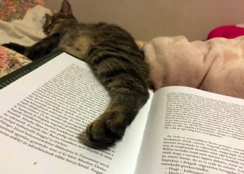 Ők nyertek az Átlátszó Erdély kutatásával